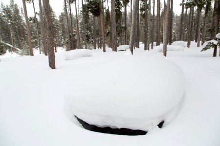 Deep snow in the Gibbon Meadows Picnic Area