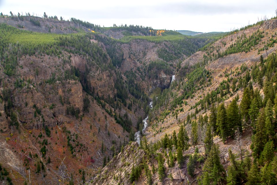 View of trail to Osprey Falls