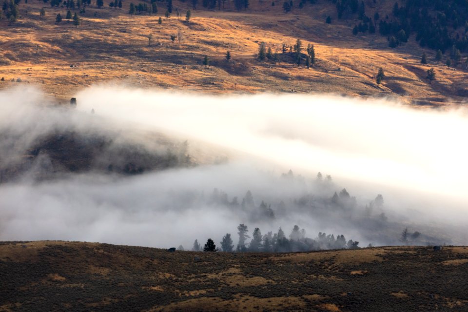 Foggy morning near Tower Junction