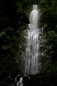 IMG 0811