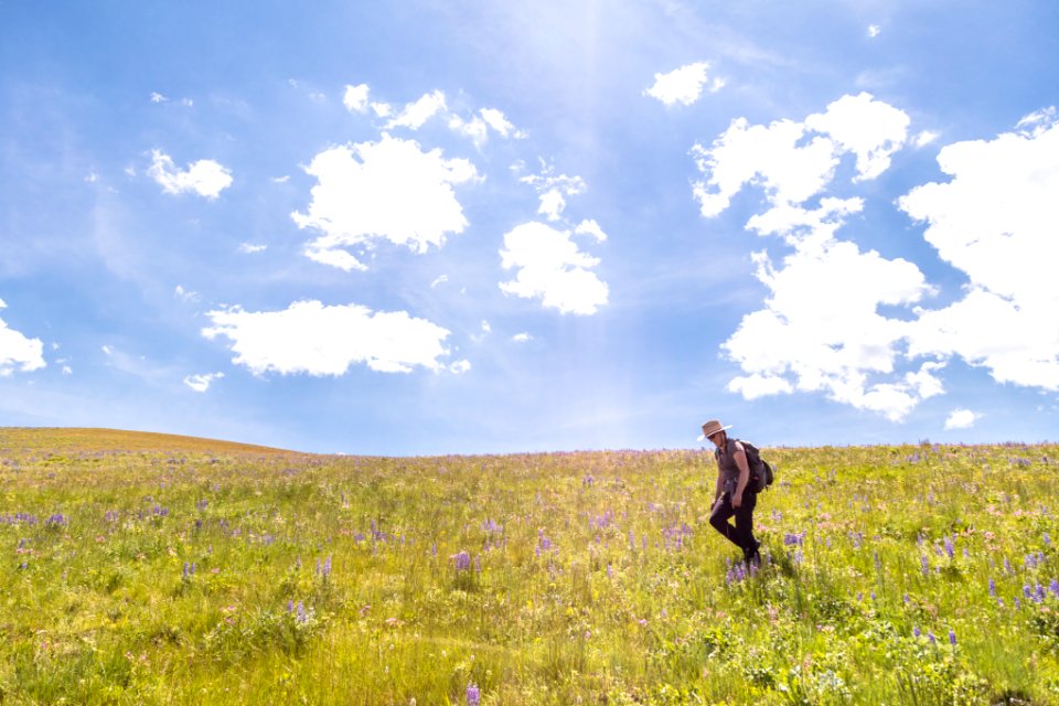 Hiker on Specimen Ridge