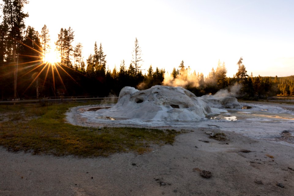 Sun shines through the trees near Grotto Geyser