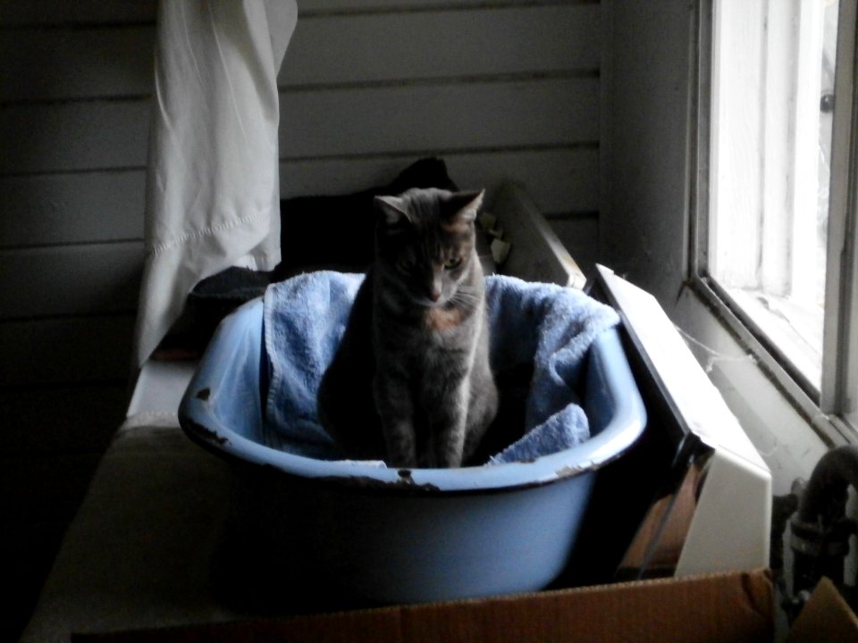 Joan is the Captain of Her Little Boat