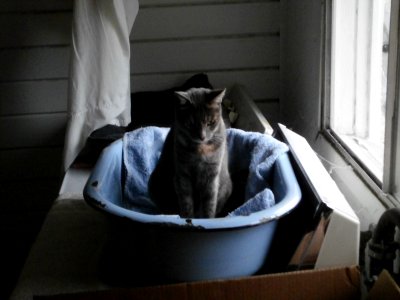 Joan is the Captain of Her Little Boat