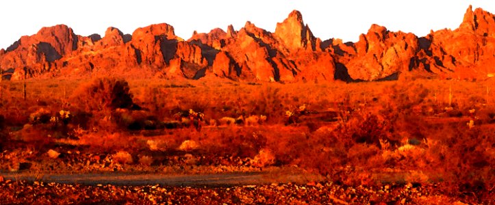 PALM CYN ROAD CAMPSITE, Kofa Game Range, La Paz Co, AZ (3-16-2018) -11 WATECOLOR