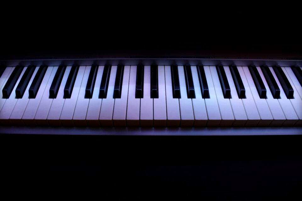 Musical instrument keyboard