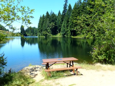 Morrell Lake waterfront