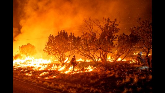 D1 Pine Lodge Fire July 2019