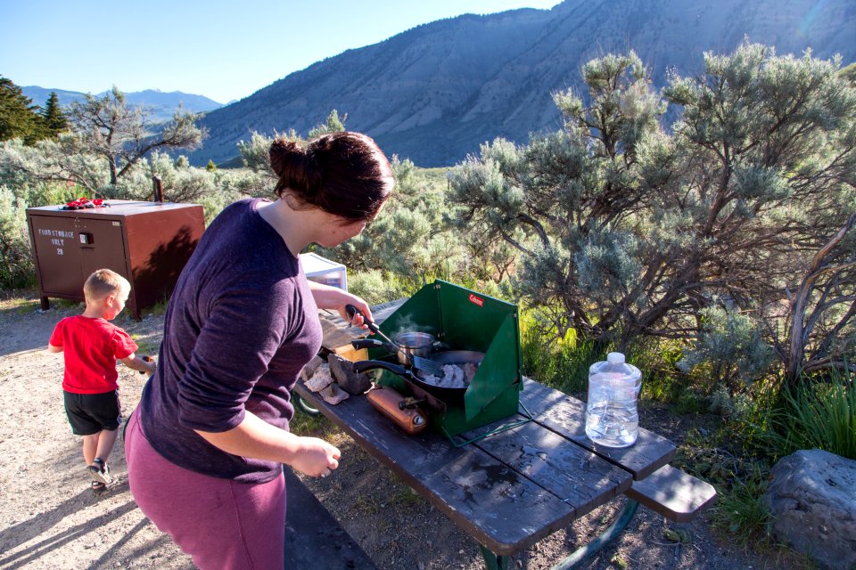 Mammoth Hot Springs Campground