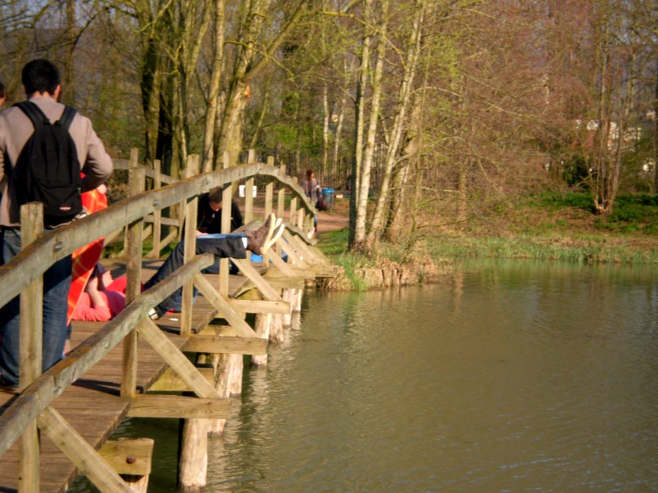 Bridge in the Silent Garden, Taizé