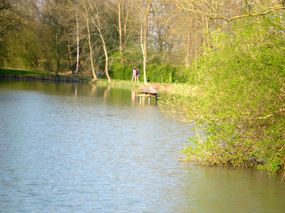 Lake in the Silent Garden, Taizé