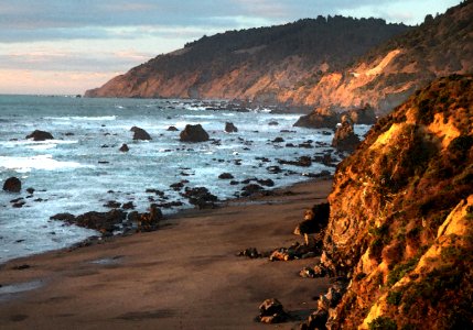 CA 0082a - NORTH COAST ( 12-31-2016) howard landing, westport-union state beach, mendocino co, ca (36) watercolor