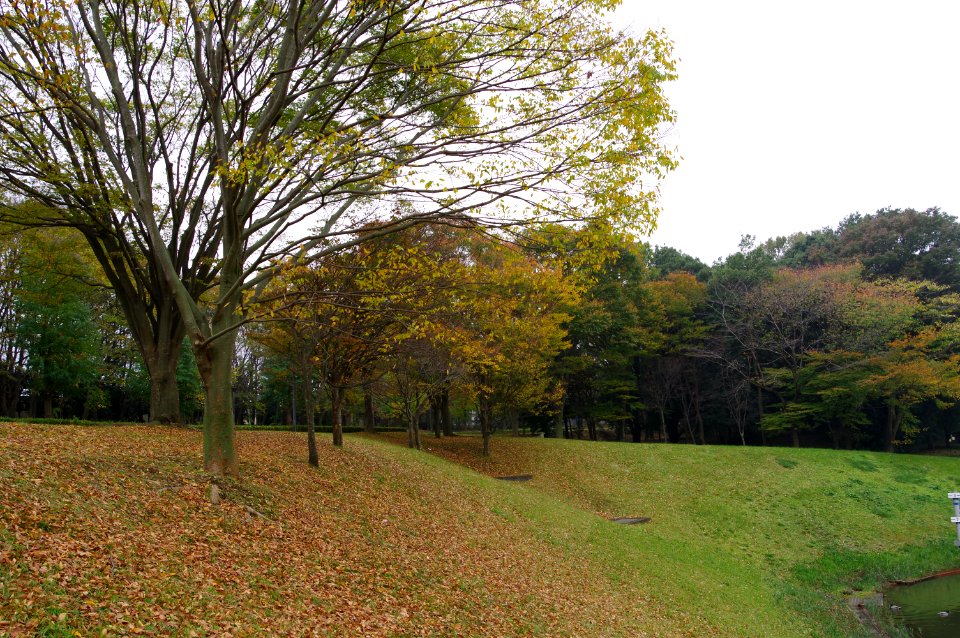 IMGP0082