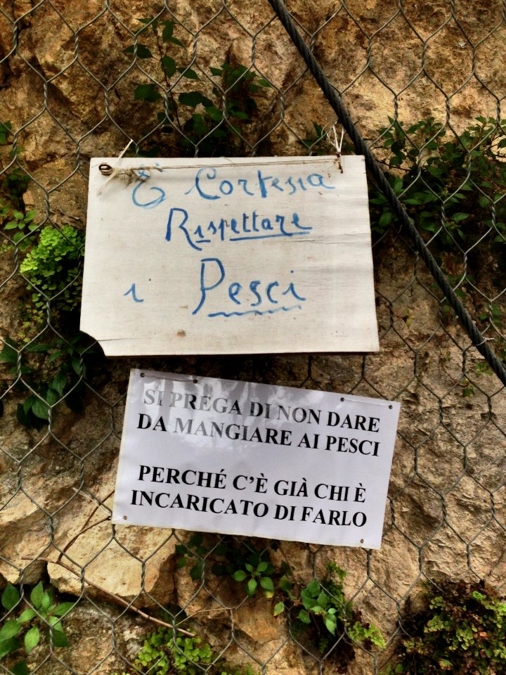 È cortesia rispettare pesci!