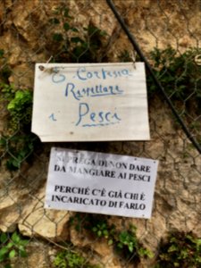 È cortesia rispettare pesci!