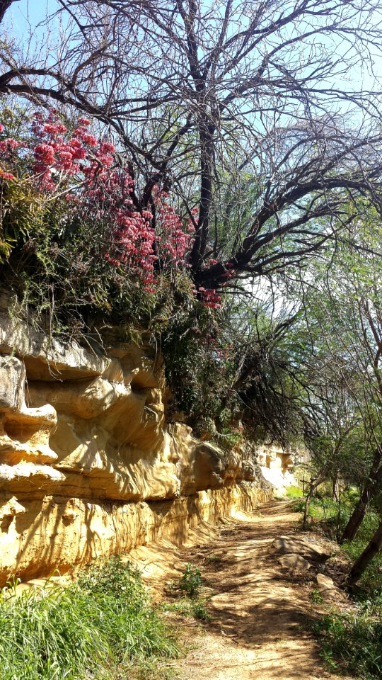 12 - LAS PALMAS TRAIL at ZACATA CREEK, Laredo, Tx (2)