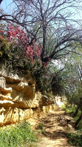 12 - LAS PALMAS TRAIL at ZACATA CREEK, Laredo, Tx (2)