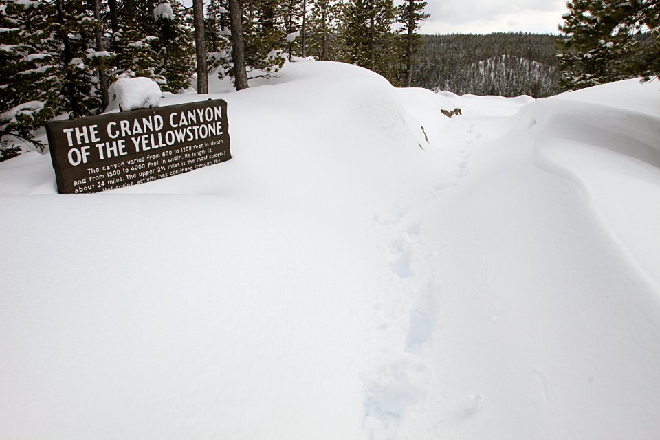 Walkway to Grand View at the Grand Canyon of the Yellowstone