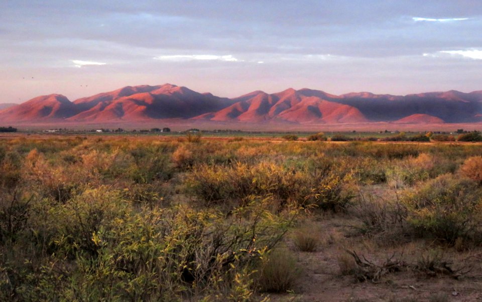 WHITEWATER DRAW WILDLIFE AREA (11-6-2020) early morning, cochise co, az -07