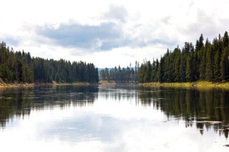 Yellowstone River reflections