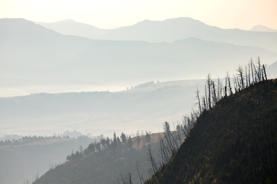 Wildfire smoke in Lamar Valley