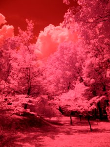 full spectrum + IR filter