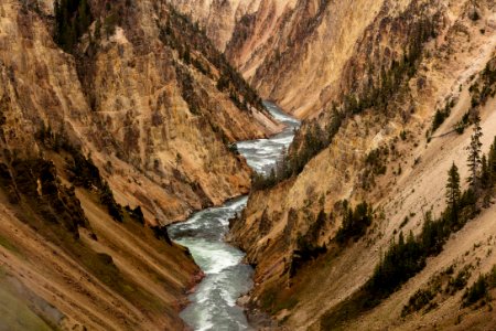Yellowstone River and canyon walls photo