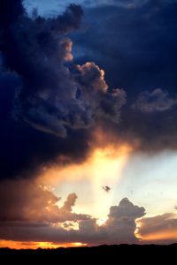 VIEW FROM THE HOUSE - 0250 (8-13-2016) -01