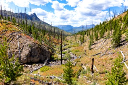 Hikers along Lake Abundance Creek