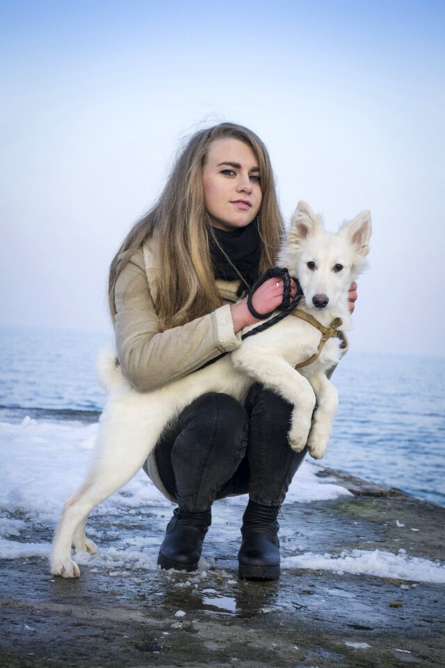 Pets arctic snow