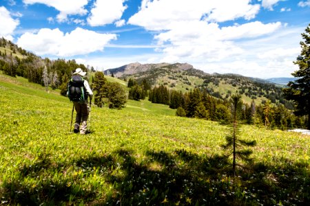 Hiking back to the road near Dunraven Pass