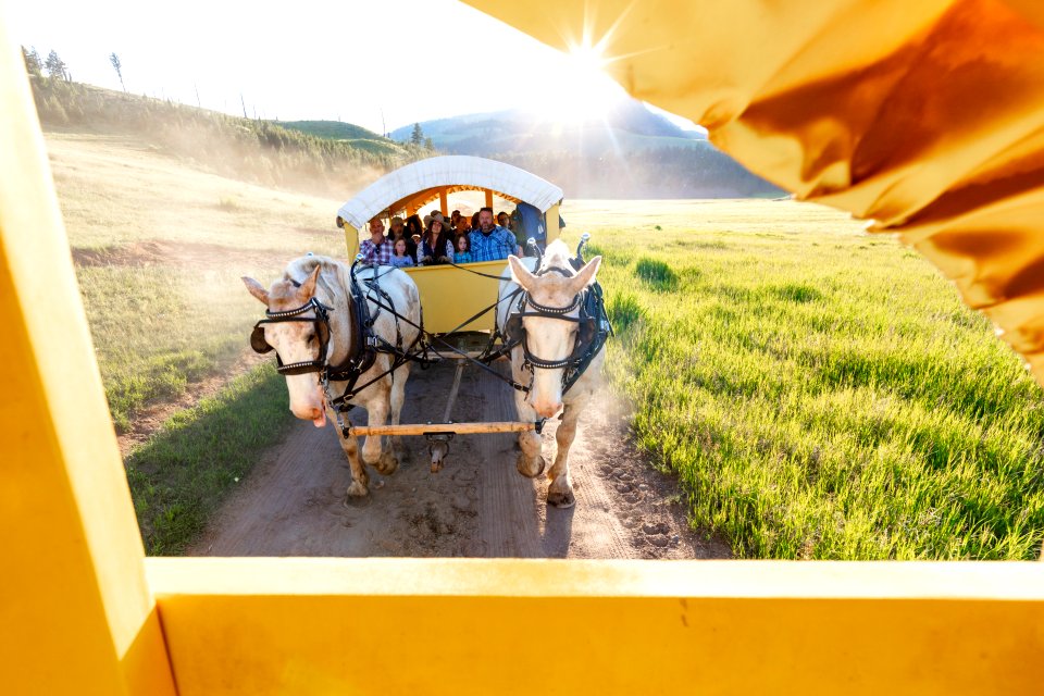 Covered wagon ride on a sunny afternoon