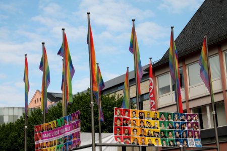 Regenbogenfahnen in Mainz