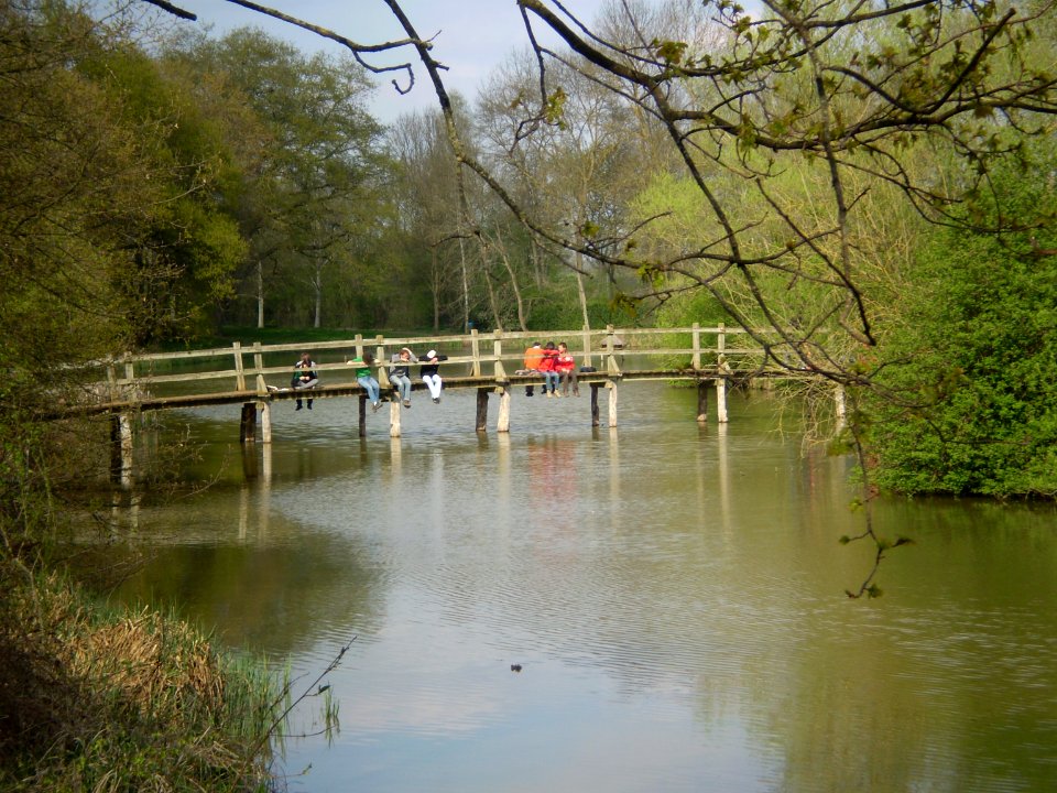 Garden of Silence, Taizé