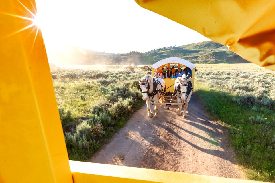 Covered wagon ride heading back to the Roosevelt Corrals