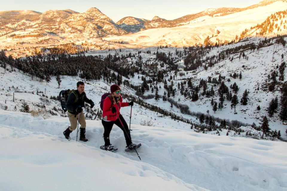 Yellowstone Forever Cougar Course - snowshoeing at Hellroaring (6)