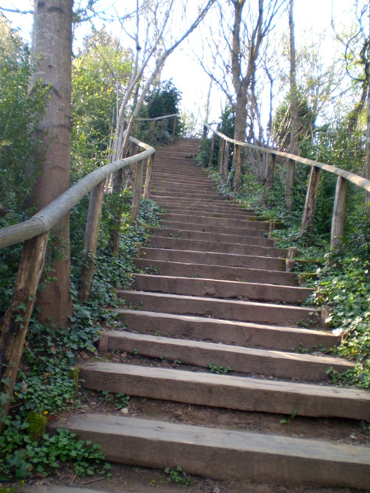 Stairs in the Silent Garden, Taizé