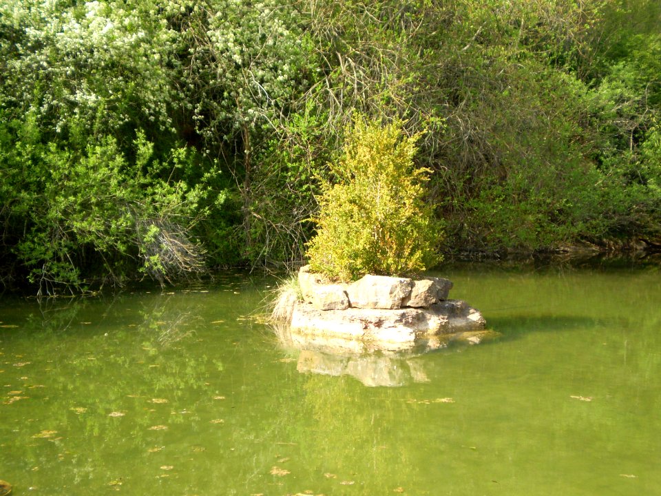 Garden of Silence, Taizé
