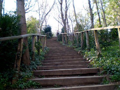 Stairs in the Silent Garden, Taizé