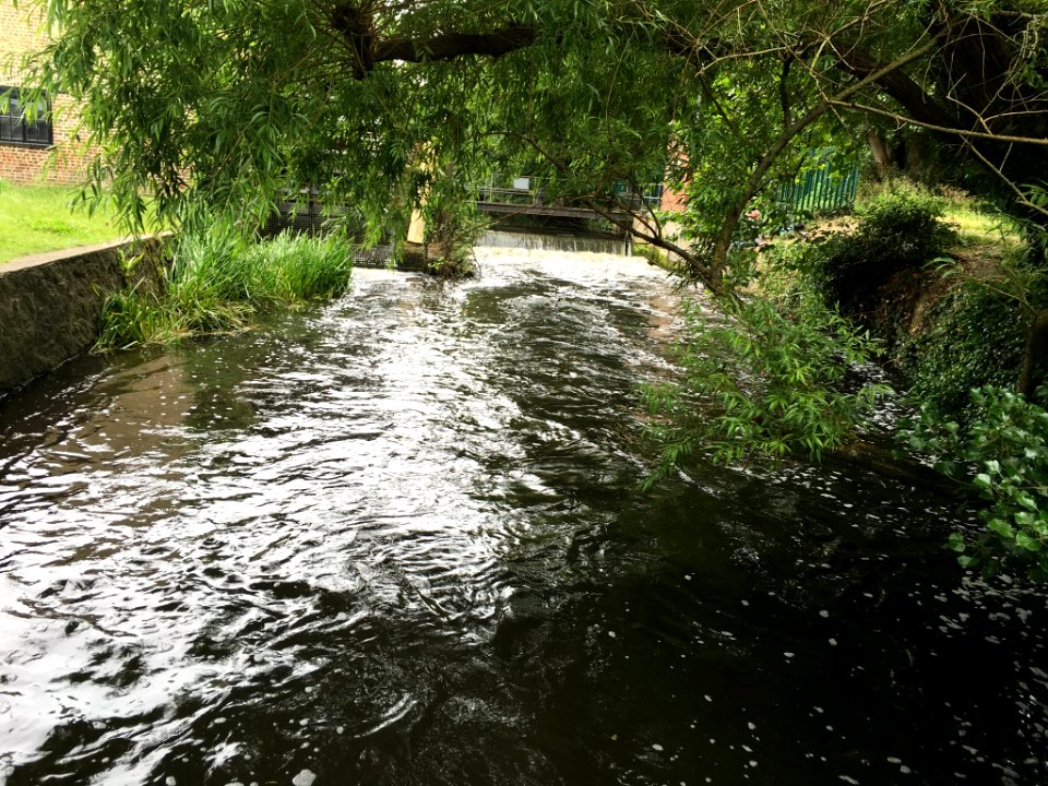 Poem  Nelson and the curious history of the Wandle river