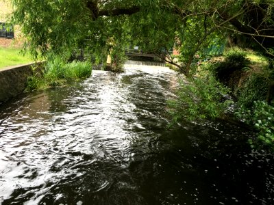 Poem Nelson and the curious history of the Wandle river photo