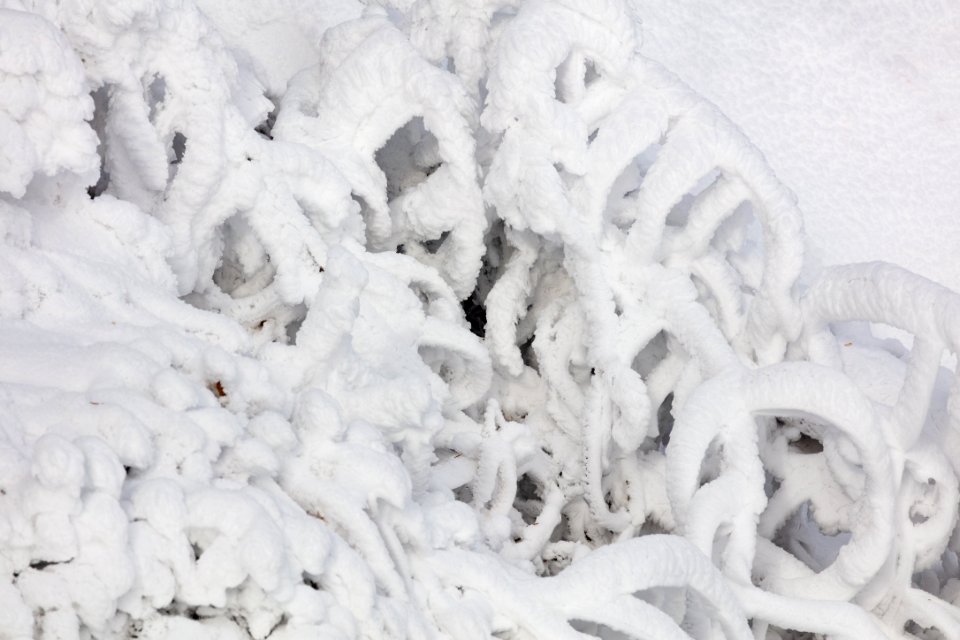 Rime ice near Blue Bell Spring