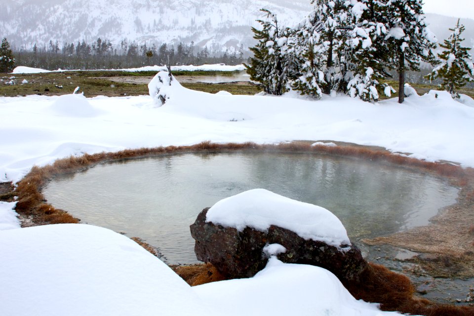 Thermal feature in Cascade group in Upper Geyser Basin