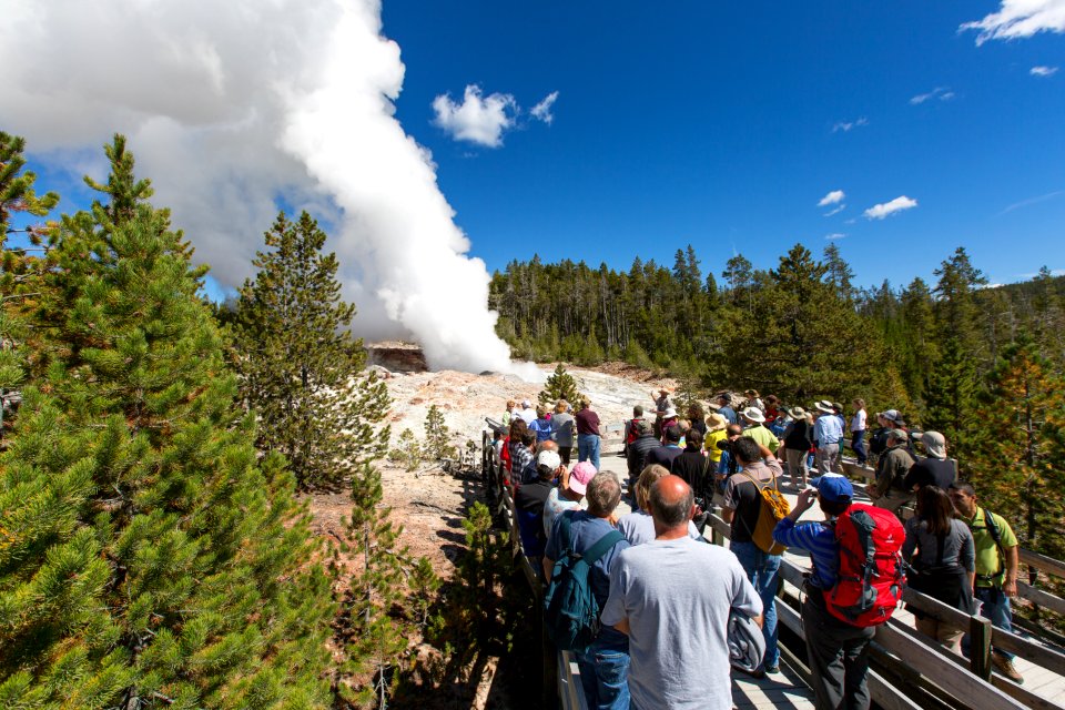 Steam phase of Steamboat Geyser and visitors