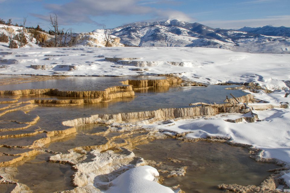 Mammoth Hot Springs Terraces