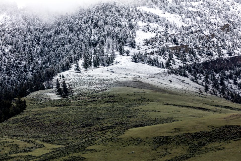 Winter into Spring