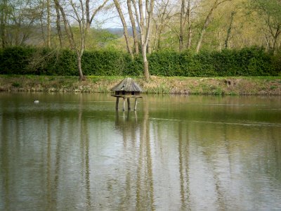 Garden of Silence, Taizé