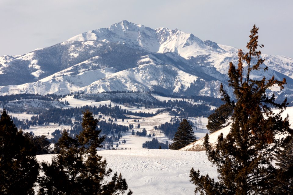 Electric Peak seen from the Blacktail Plateau Ski Trail