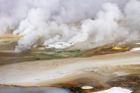 Thermal features in Porcelain Basin at Norris Geyser Basin