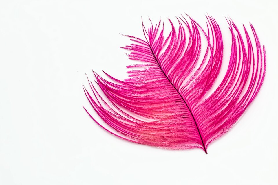 Pink abstract shape